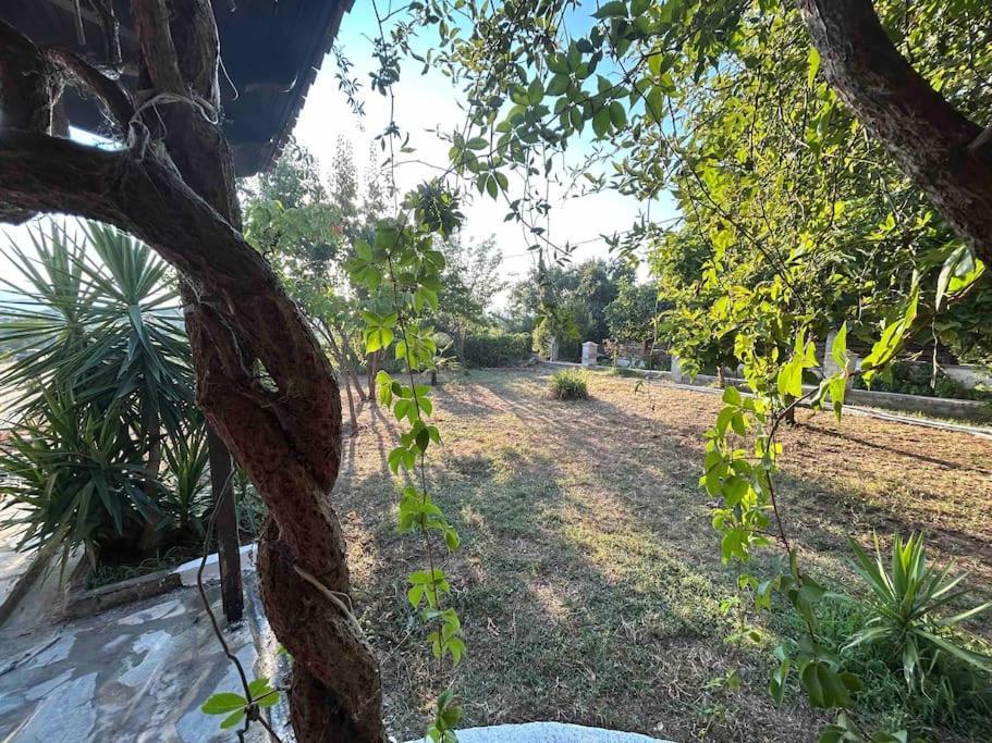 Yourlittlemiracle-Panoramicview+Firepit+Garden+Bbq アルガラスティ エクステリア 写真